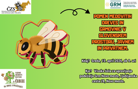 Fotografija: strokovna razprava