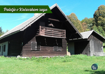 Fotografija: Kolesarjenje po gozdnih cestah Kočevskega roga