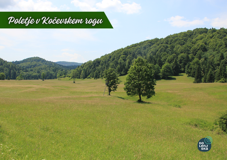 Fotografija: Kolesarska pentlja po vzhodnem delu Kočevskega roga