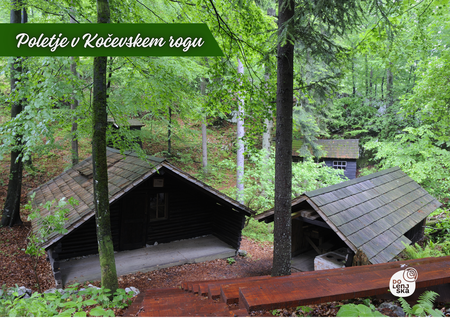 Fotografija: Voden ogled Baze 20